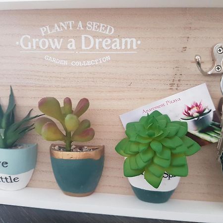 Apartment Pitaya ปลายา เดล อิงเกลส ภายนอก รูปภาพ